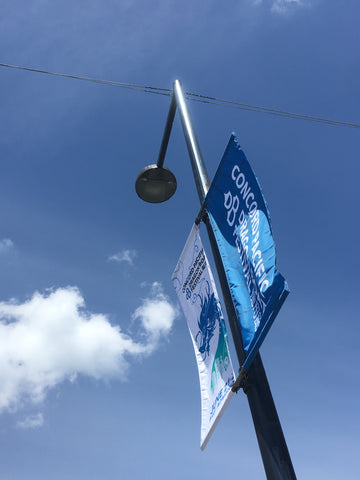 Concord Pacific Dragon Boat Festival 2019 Street Banner